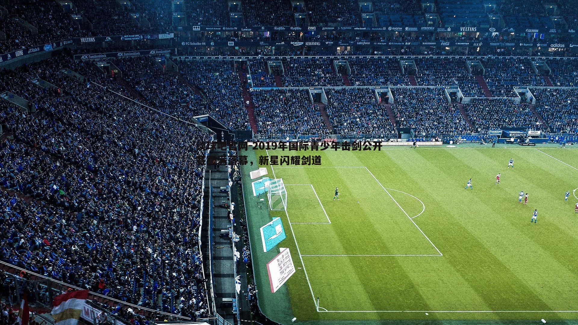 谈球吧官网-2019年国际青少年击剑公开赛圆满落幕，新星闪耀剑道